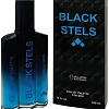 Туалетная вода Positive Aerostar Black Stels EdT (100 мл)