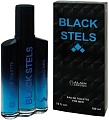 Туалетная вода Positive Aerostar Black Stels EdT (100 мл)