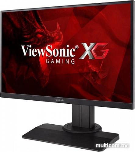 Монитор ViewSonic XG2405