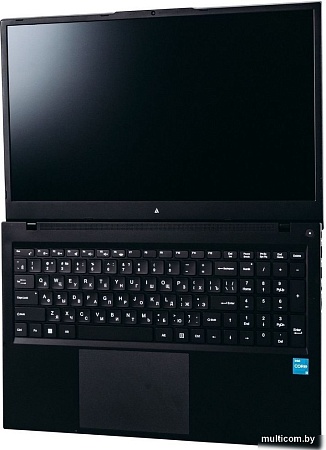 Ноутбук ACD 17S AH17S3286WB