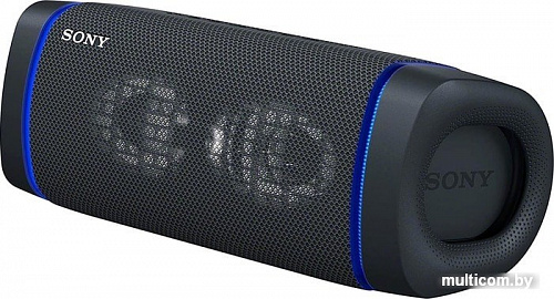 Sony SRS-XB33 (черный)