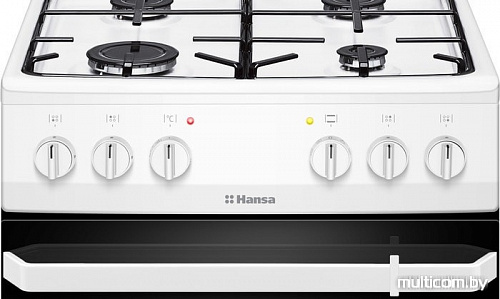 Кухонная плита Hansa FCMW59009