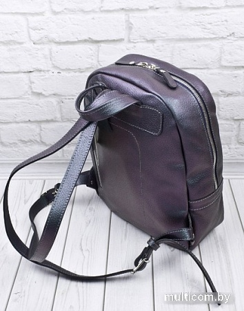 Городской рюкзак Carlo Gattini Premium Anzolla 3040-57 (северное сияние)