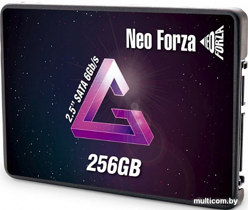 SSD Neo Forza Zion NFS01 256GB NFS011SA356-6007200