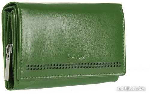 Кошелек Bellugio AD-118R-068 (зеленый)