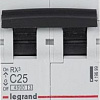 Выключатель автоматический Legrand RX3 25A 4.5kA 2П С 419699