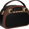 Радиоприемник Ritmix RPR-040 (шоколадный)