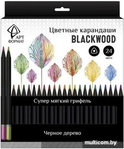 Набор цветных карандашей АртФормат AF03-051-24
