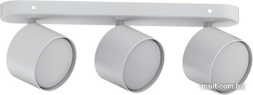 Припотолочная люстра Feron белый ML213