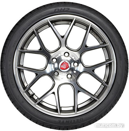 Автомобильные шины Delinte DH2 225/60R18 100H