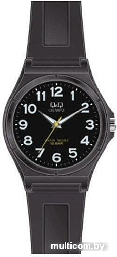 Наручные часы Q&Q VQ66J026