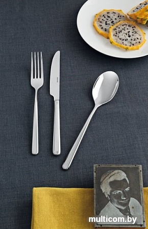 Набор столовых приборов Sambonet Linear 52513-N1