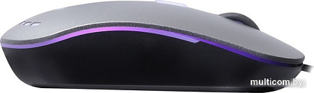 Мышь SmartBuy SBM-288-G