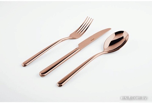 Набор столовых приборов Sambonet Linear 52713C81