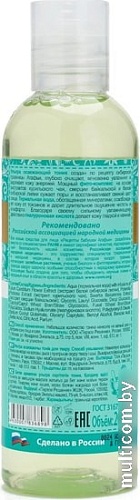 Рецепты бабушки Агафьи Тоник для лица живительное увлажнение кожи 200 мл