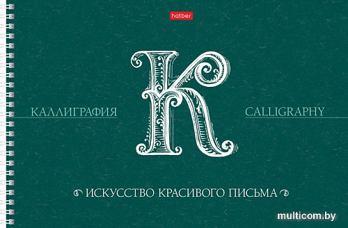 Полуобщая тетрадь Hatber Искусство красивого письма 30Тп4тВ5гр_22372 (30 л)