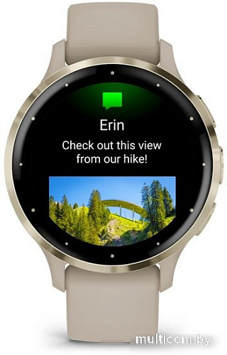 Умные часы Garmin Venu 3S (френч-грей, с силиконовым ремешком)