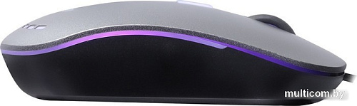 Мышь SmartBuy SBM-288-G