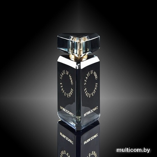 State of Mind Natural Elegance EdP (100 мл)