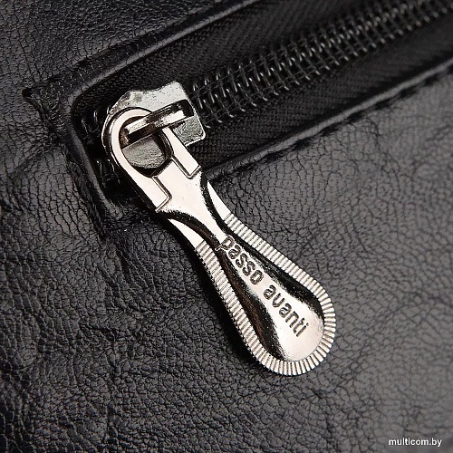 Passo Avanti 881-23930Z-BGR (черный)