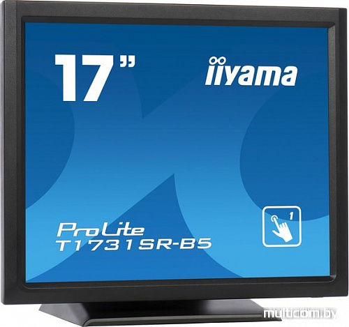 Монитор Iiyama ProLite T1731SR-B5