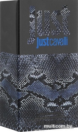 Roberto Cavalli Just Cavalli For Him EdT (30 мл)