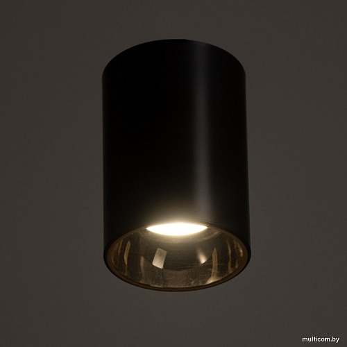 Точечный светильник BayerLux Рулл 10385885 (черный/золото)