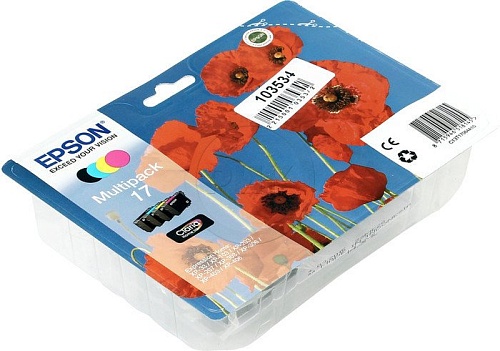 Картридж Epson C13T17064A10