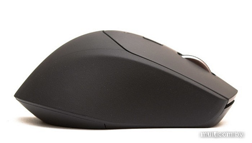 Мышь Rapoo MT550