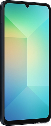 Смартфон Samsung Galaxy A06 SM-A065F 4GB/128GB (черный)