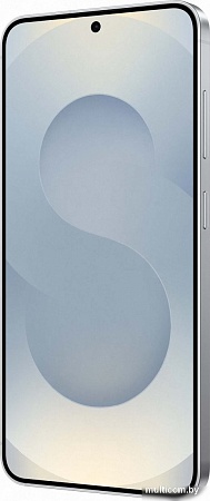 Samsung Galaxy S25 SM-S931B 12GB/128GB (серый)