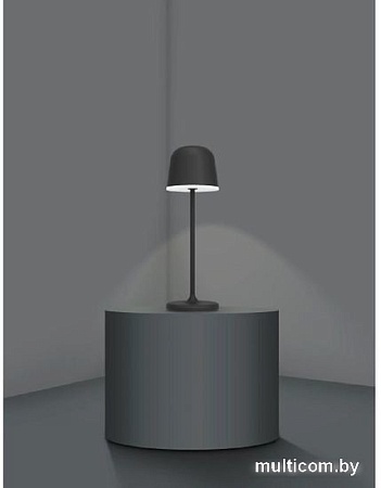 Садовый светильник Eglo Mannera 900457