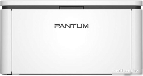 Принтер Pantum BP2300W