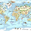 Фотообои Citydecor Детская Карта мира 343 500x260