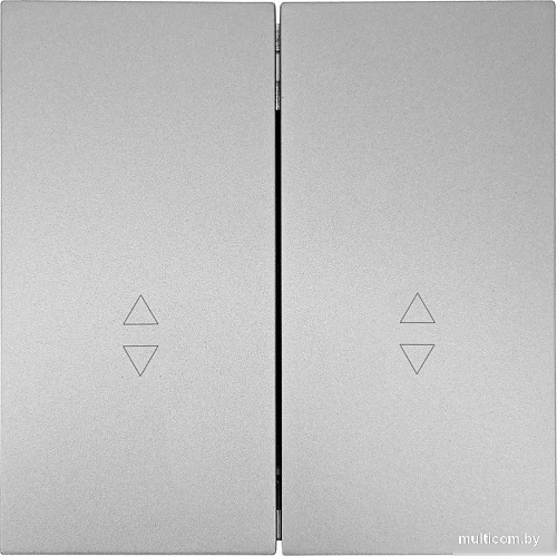 Lezard Zima 704-7488-106QC (серый матовый)