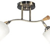 Aitin Pro НПБ 02-2x60-101 N6405/2 (бронза/дерево)