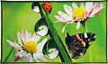 Коврик для ванной Shahintex Fantasy Icarpet 60x100 006 451872