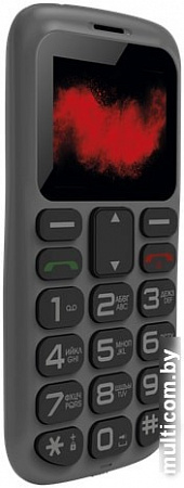Мобильный телефон Nobby 170B (серый)