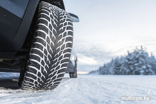 Автомобильные шины Nokian Hakkapeliitta R3 SUV 255/50R19 107R (run-flat)