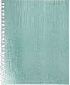 Общая тетрадь Hatber Metallic 96Т5бвВ1гр/бвМята (96 л, клетка)