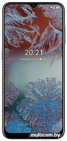 Смартфон Nokia G10 4GB/64GB (пурпурный)