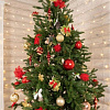Ель National Tree Company Форест Фор-190 (190 см)