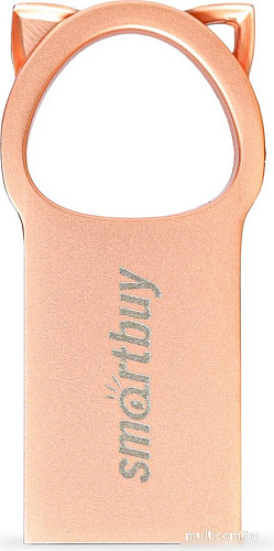 USB Flash SmartBuy MC5 16GB
