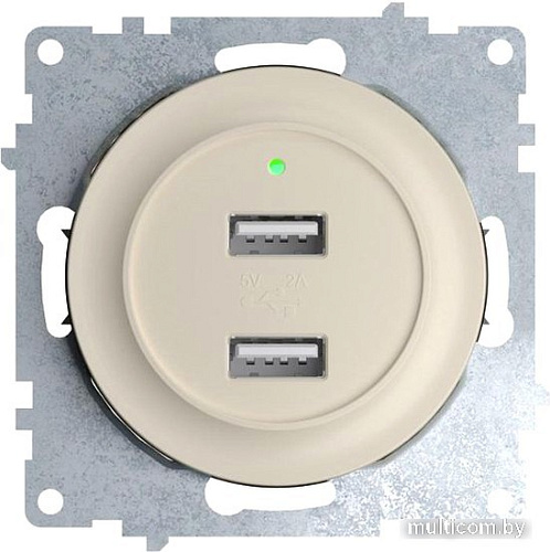 Розетка USB OneKeyElectro Florence 1E10351301