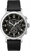 Наручные часы Timex TW2T21100