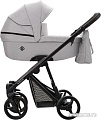 Универсальная коляска BEBETTO Nitello (2 в 1, 05)