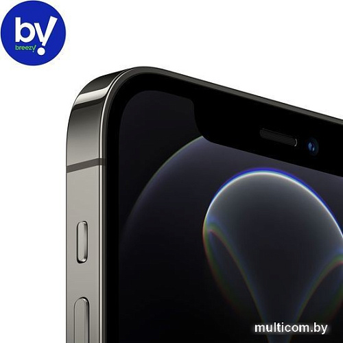 Смартфон Apple iPhone 12 Pro 256GB Воcстановленный by Breezy, грейд B (графитовый)