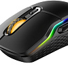Игровая мышь Rapoo VT200