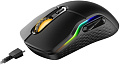 Игровая мышь Rapoo VT200