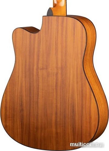 Акустическая гитара Ramis RA-G02C